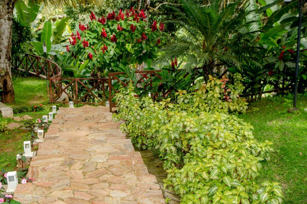 Hotel Cantinho Das Flores Guaramiranga Buitenkant foto